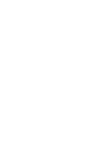 Emerce 100 - 2026